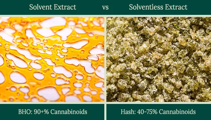 Solventless vs Solvent Concentrates